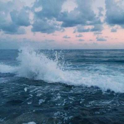 代号海文星官方版下载